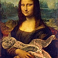 Sabrinz A.