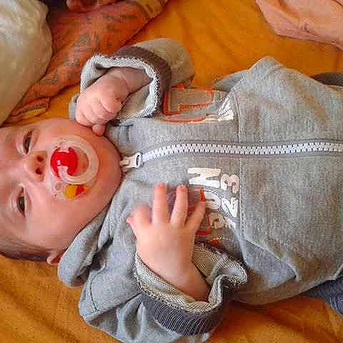 RAPHAEL