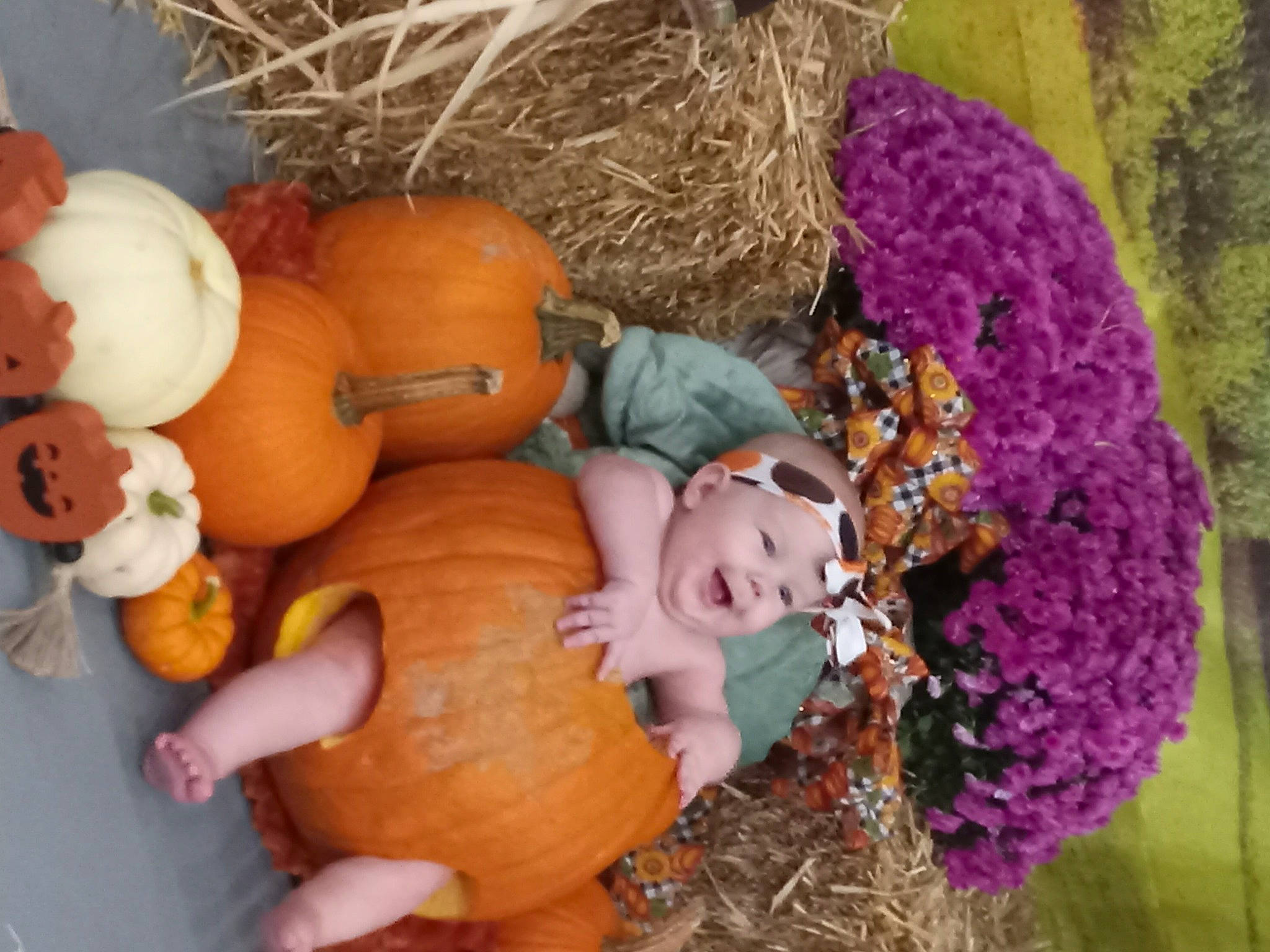 Willow is registered to the contest to win money with this photo: abdomen, art, calabaza, child, craft, cucurbita, doll, gourd, headwear, orange, organism, person, plush, pumpkin, room, stuffed_toy, teddy_bear, textile, toy, vegetable