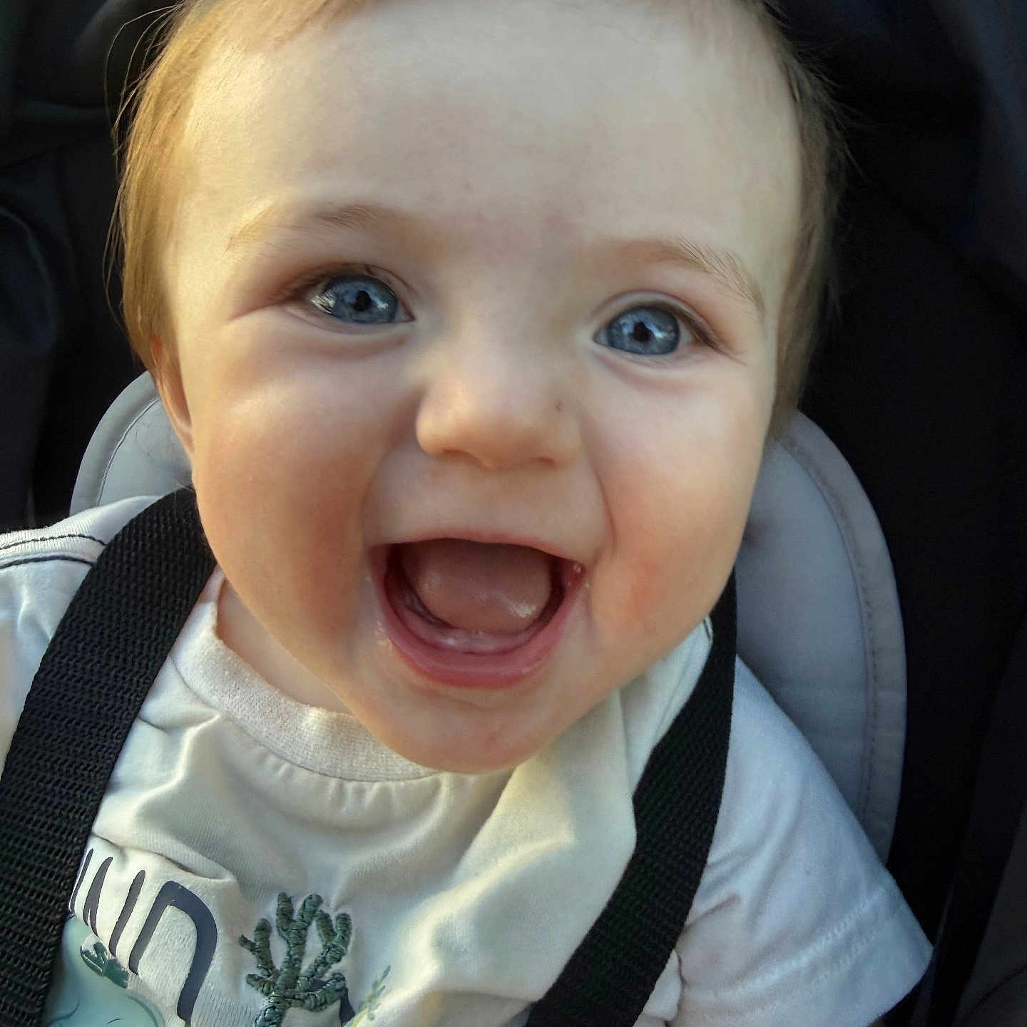 Matteo is registered to the contest to win money with this photo: baby, child, smile, happy, blue_eyes, car_seat, seatbelt, white_shirt, closeup, face, infant, cute, joyful, young_child, person, portrait, sitting, clothing, straps, daylight