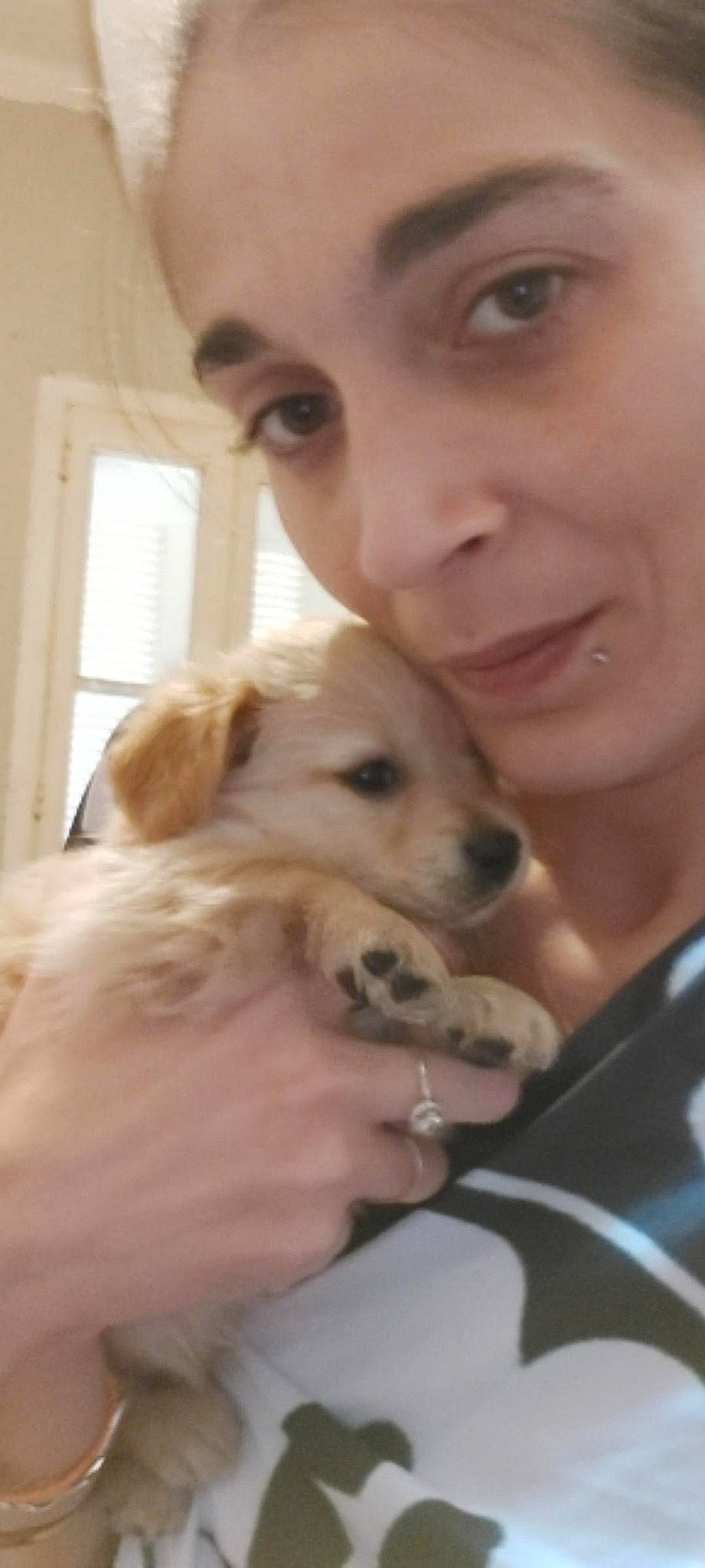 Roxe participe au concours pour gagner de l'argent avec cette photo : carnivore, companion_dog, dog, dog_breed, ear, eyebrow, eyelash, fawn, fur, gesture, hair, happy, nose, selfie, skin, snout, sporting_group, toy, whiskers, window