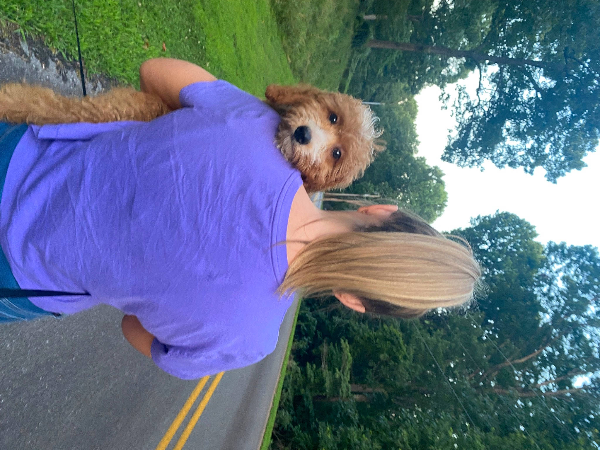 Buddy Winston is registered to the contest to win money with this photo: canidae, carnivore, child, companion_dog, dog, dog_breed, dog_clothes, fawn, fun, fur, grass, happy, leisure, plant, small_terrier, sporting_group, stuffed_toy, toy, toy_dog, tree