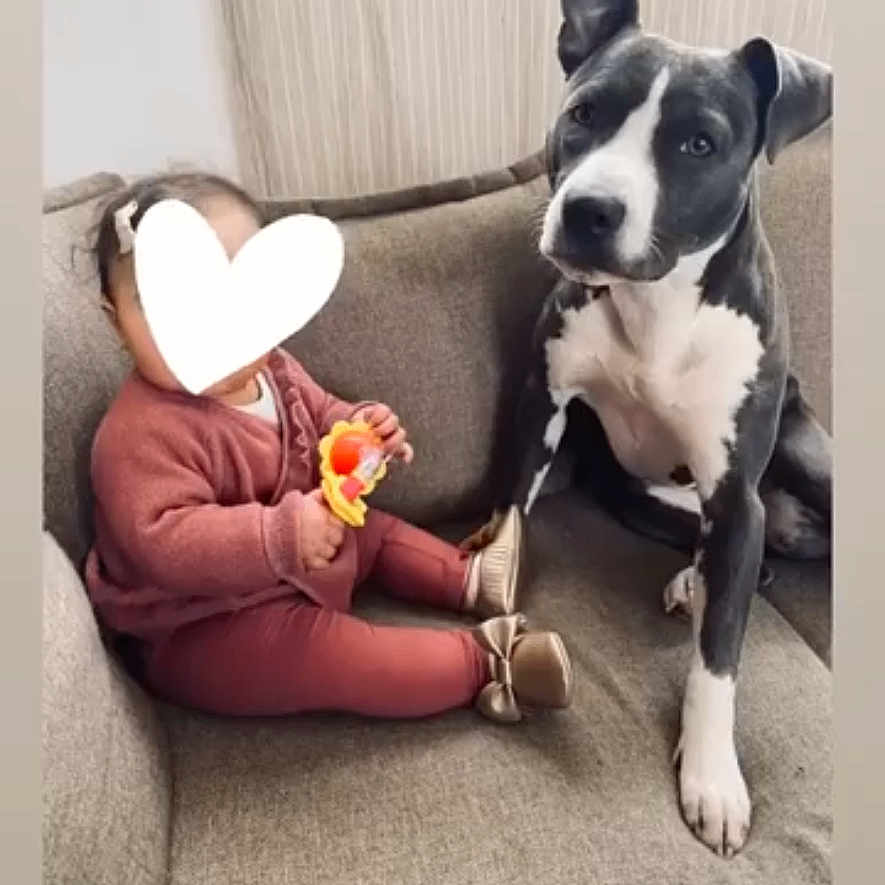 Laya