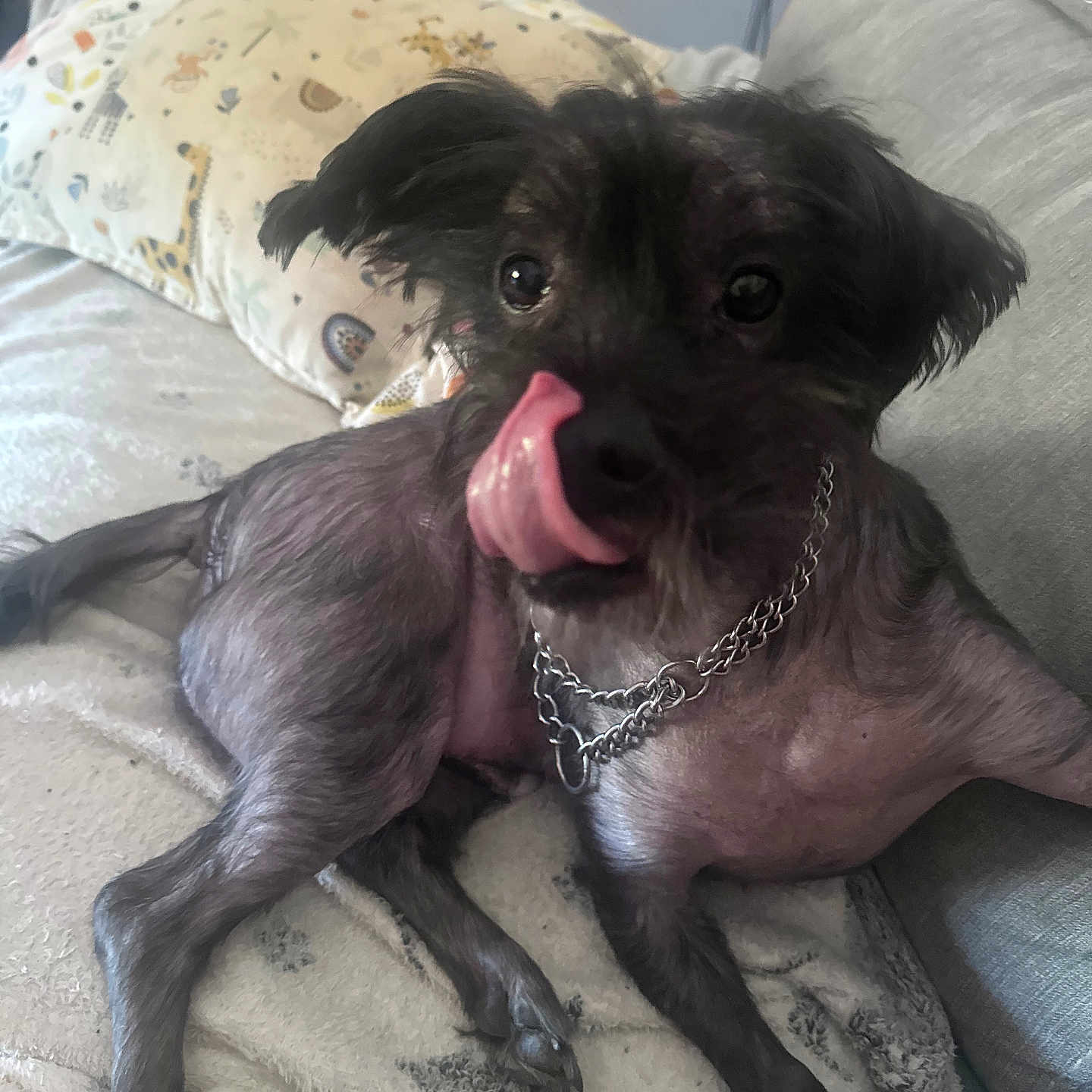 Oscar