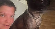 Oscar a rejoint le concours — aidez-le/la à gagner de superbes lots ! woman, person, dog, black_dog, pet, selfie, portrait, indoors, chair, wood_floor, chain_collar, collar, short_hair, red_shirt, sitting, standing, animal, companion, low_light, blurry