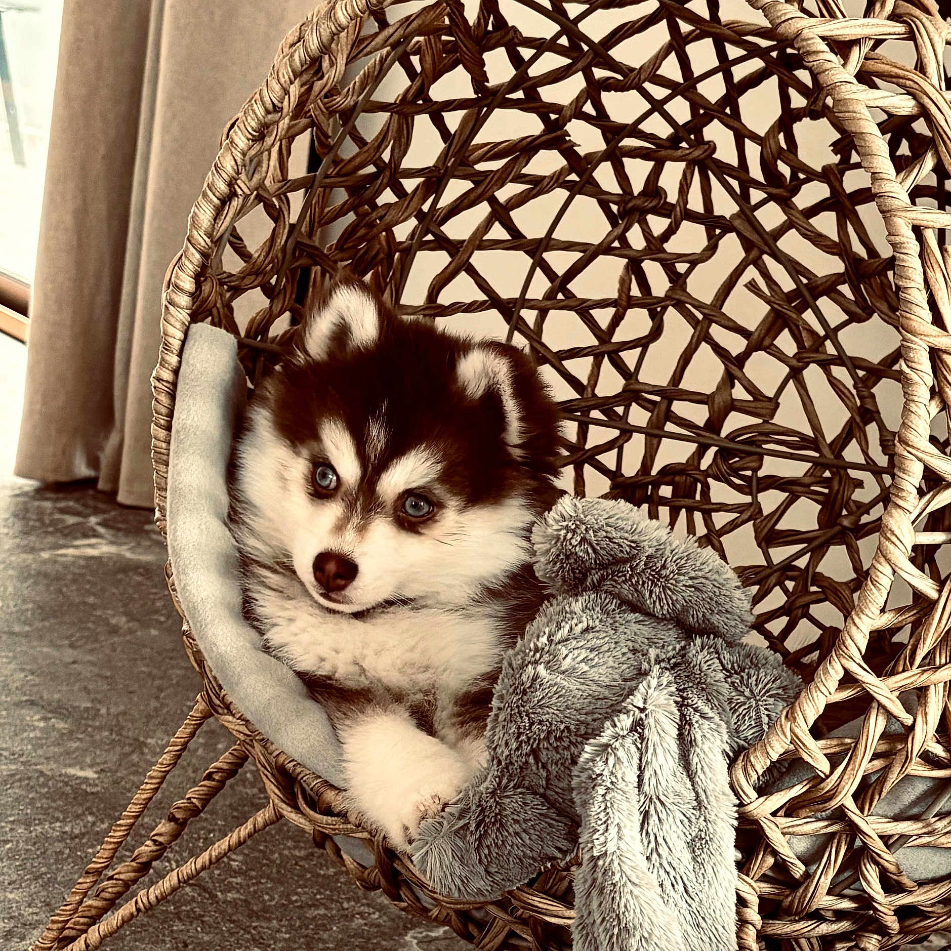 Aïko