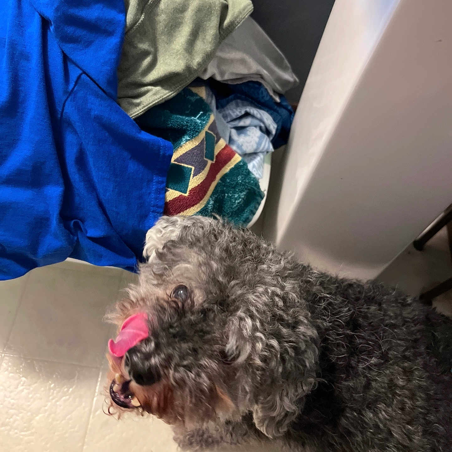 Newman