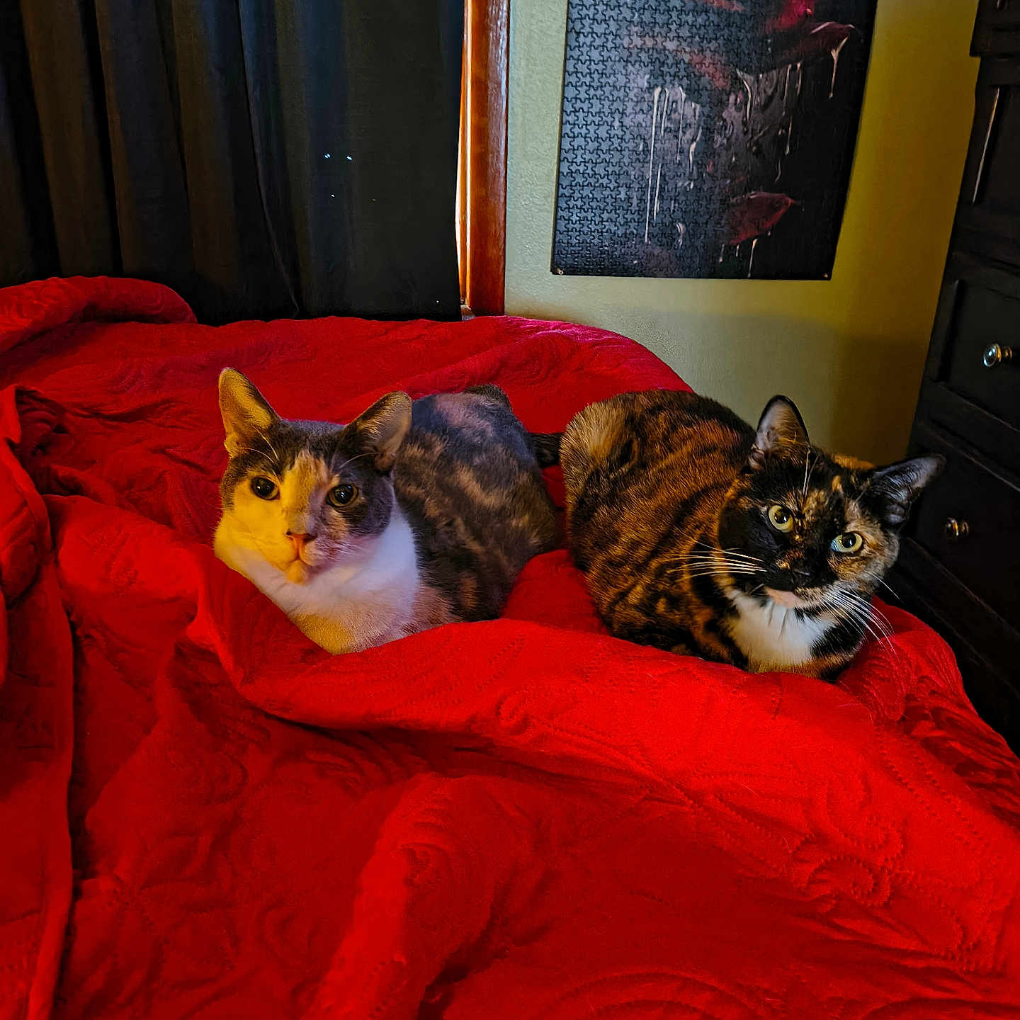 Cali And Hallow