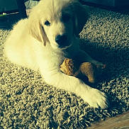 Iron participe au concours pour gagner de l'argent avec cette photo :