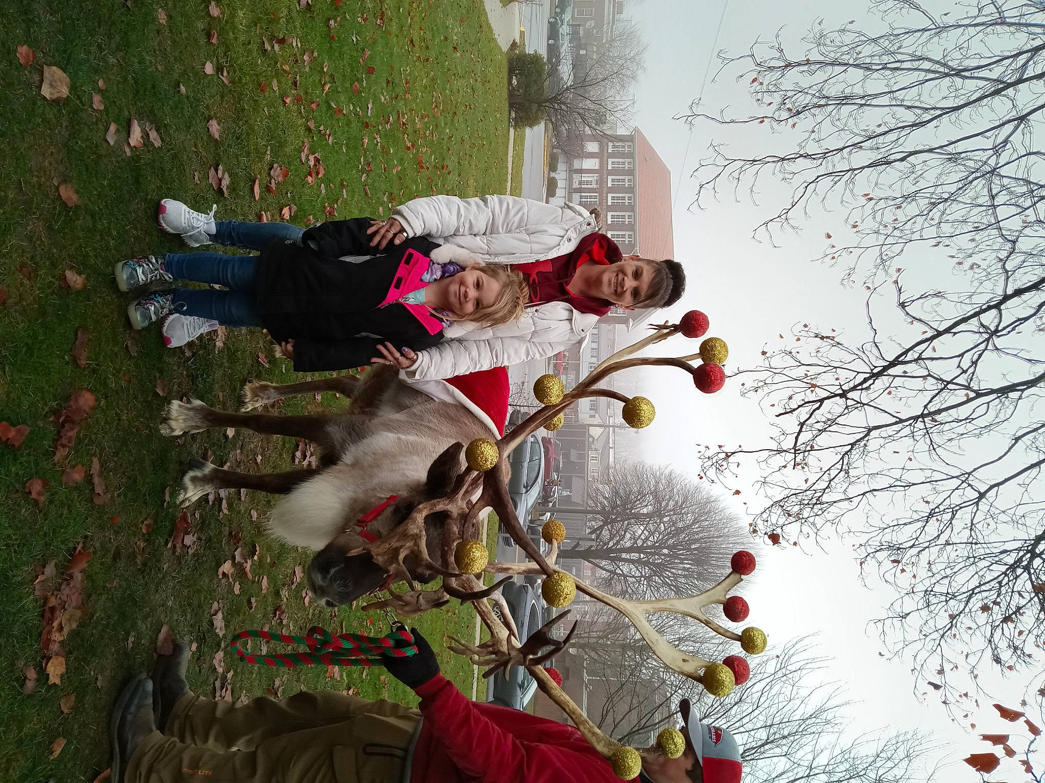 Keirra joined the competition — help win amazing prizes! adventure, autumn, blossom, freezing, fun, grass, happy, joy, leisure, people_in_nature, person, plant, recreation, sky, smile, toddler, tree, twig, winter