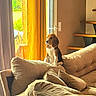 beagle, dog, puppy, couch, living_room, curtains, yellow_curtains, glass_door, sunlight, indoor, stairs, wooden_stairs, pet, cozy, furniture, window, home, animal, domestic_animal, curious
