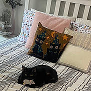 Spooky is registered to the contest to win money with this photo: bed, bedding, bedroom, black_cat, blanket, cat, cozy, cushion, decorative_pillow, eyes, fur, geometric_pattern, headboard, home_interior, nightstand, pattern, pillow, toy_mouse, vase, whiskers