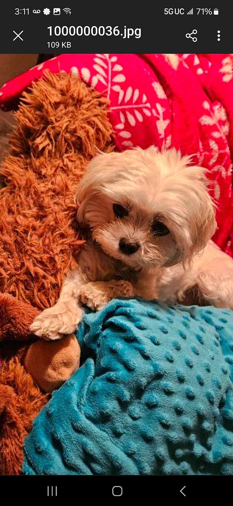 Murphy
