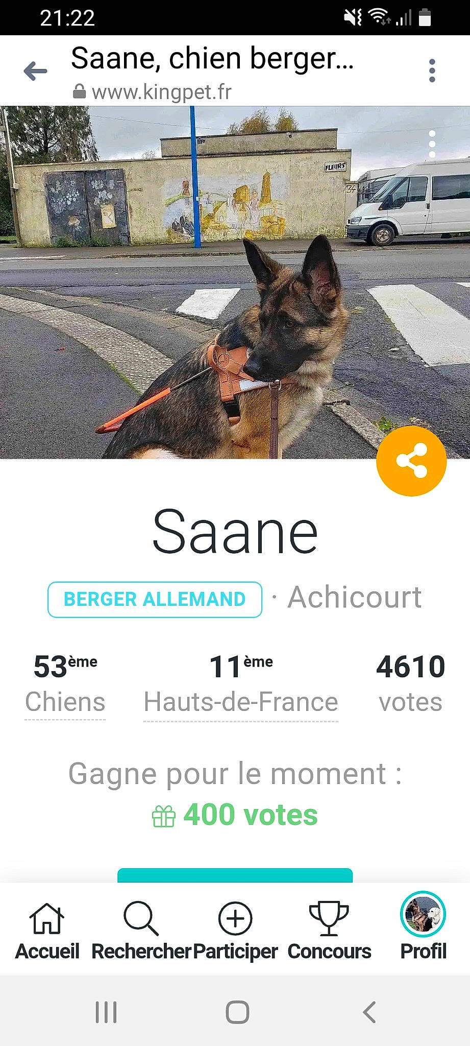 Héra a rejoint le concours — aidez-le/la à gagner de superbes lots ! advertising, asphalt, car, carnivore, collar, compact_van, companion_dog, dog, dog_breed, font, line, pet_supply, photo_caption, road, road_surface, screenshot, sidewalk, tire, vehicle, wheel