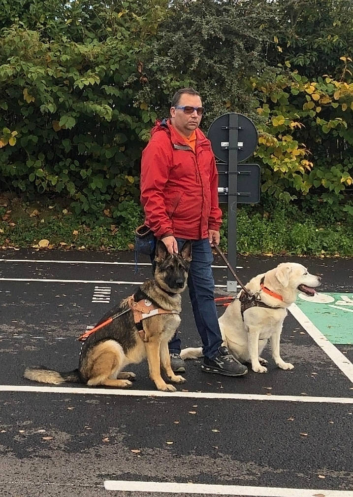 Héra participe au concours pour gagner de l'argent avec cette photo : canidae, carnivore, collar, companion_dog, dog, dog_breed, dog_collar, dog_walking, fashion_accessory, fawn, leash, pet_supply, plant, road_surface, sitting, sporting_group, tree, walking, working_dog