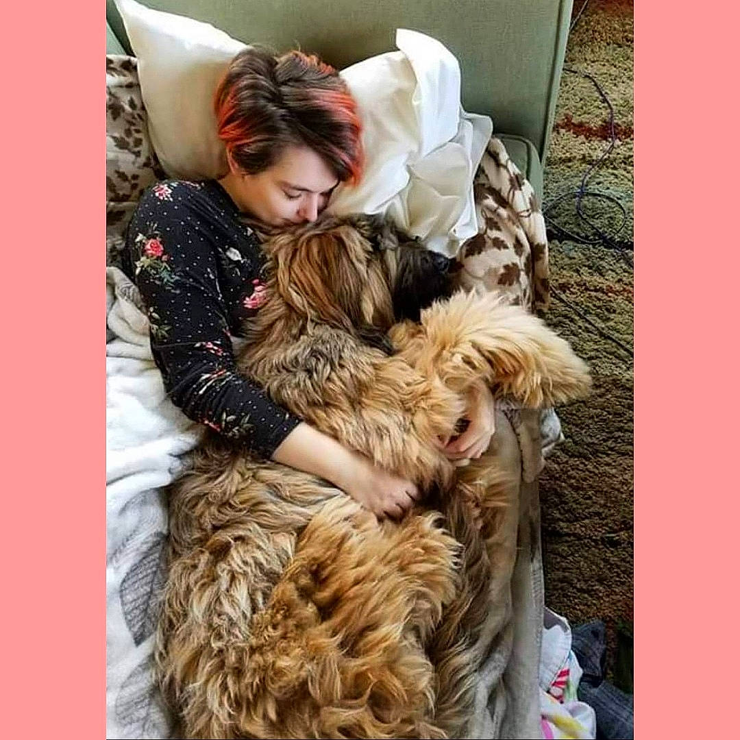 Desmond Boregard is registered to the contest to win money with this photo: beauty, brown_hair, canidae, carnivore, comfort, companion_dog, dog_breed, eyewear, fashion_design, fawn, felidae, fur, fur_clothing, liver, long_hair, small_to_medium_sized_cats, sporting_group, street_fashion, textile, thigh