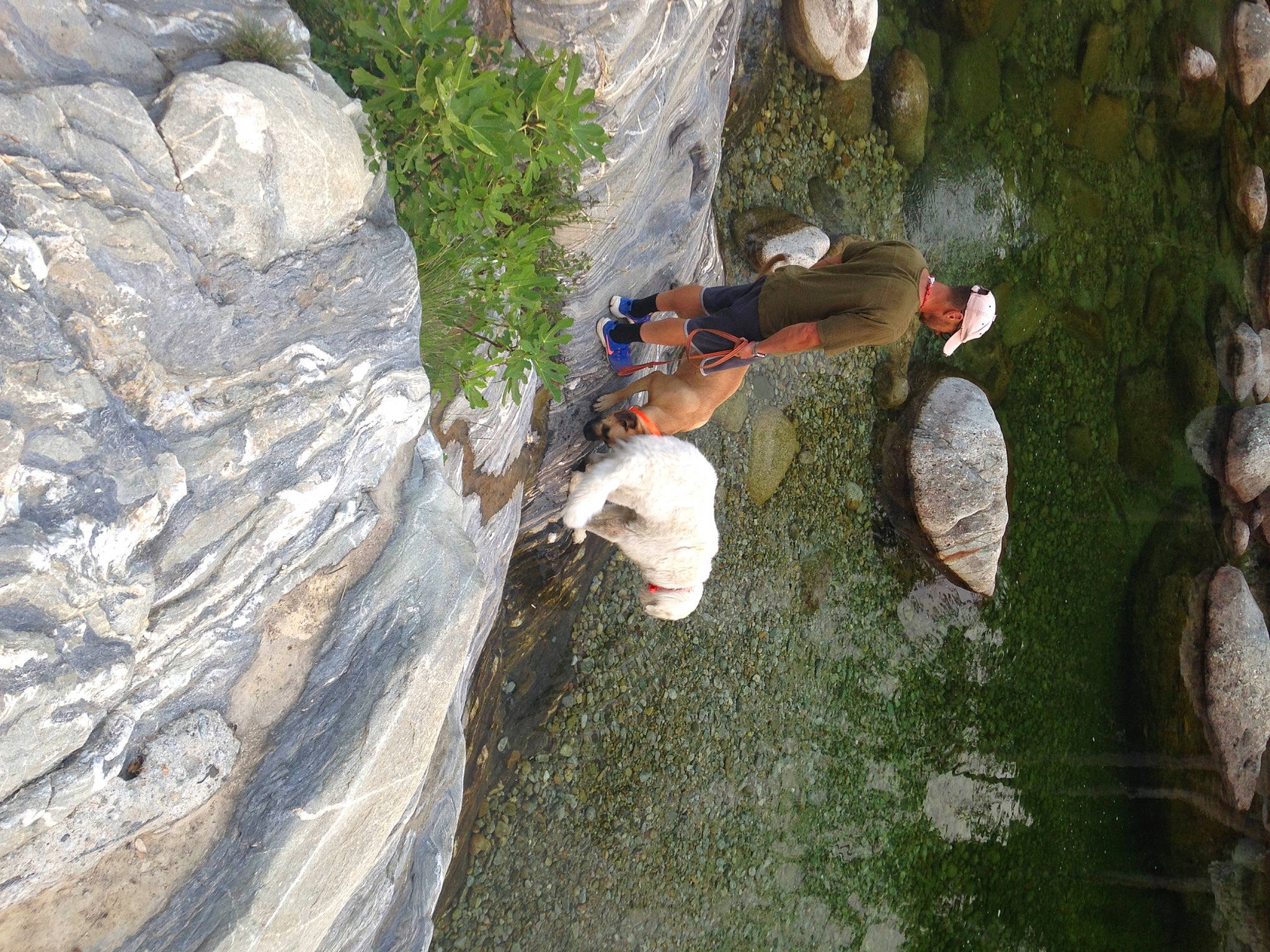 Omega participe au concours pour gagner de l'argent avec cette photo : bedrock, climbing, fault, formation, fun, grass, landscape, leisure, outcrop, outdoor_recreation, plant, recreation, rock, rock_climbing, rock_climbing_equipment, soil, sport_climbing, tree, trunk, wood