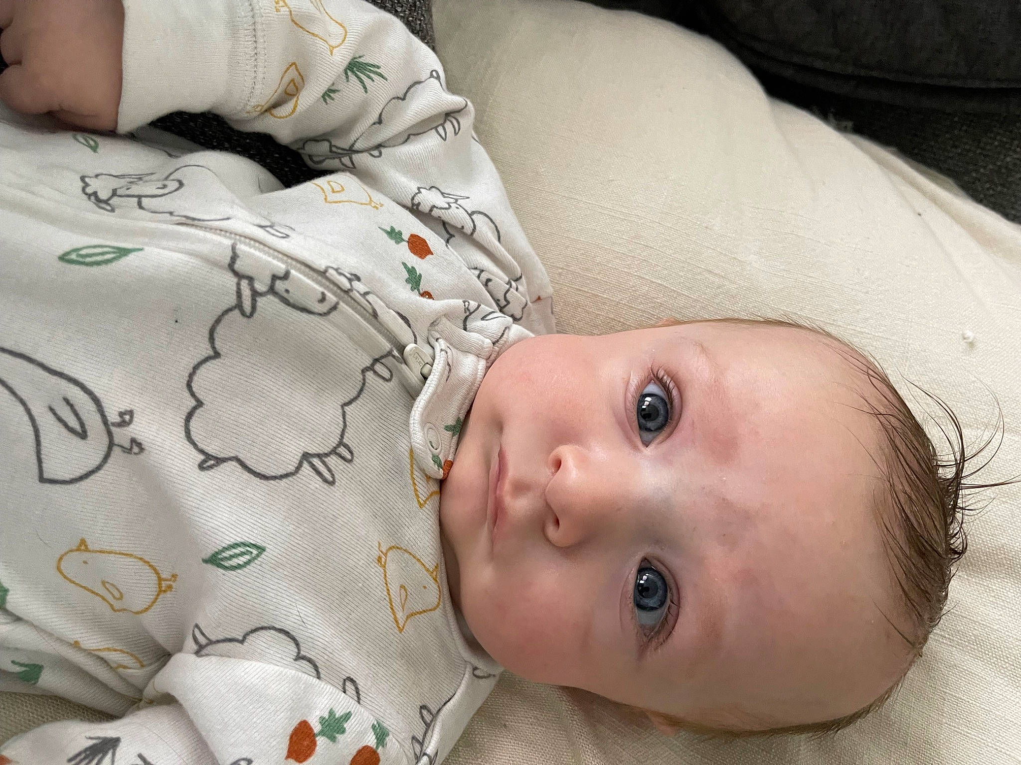 Thomas is registered to the contest to win money with this photo: arm, baby, baby_sleeping, baby_toddler_clothing, cheek, child, comfort, eyelash, facial_expression, head, linens, lip, mouth, nose, person, product, skin, sleeve, textile, toddler