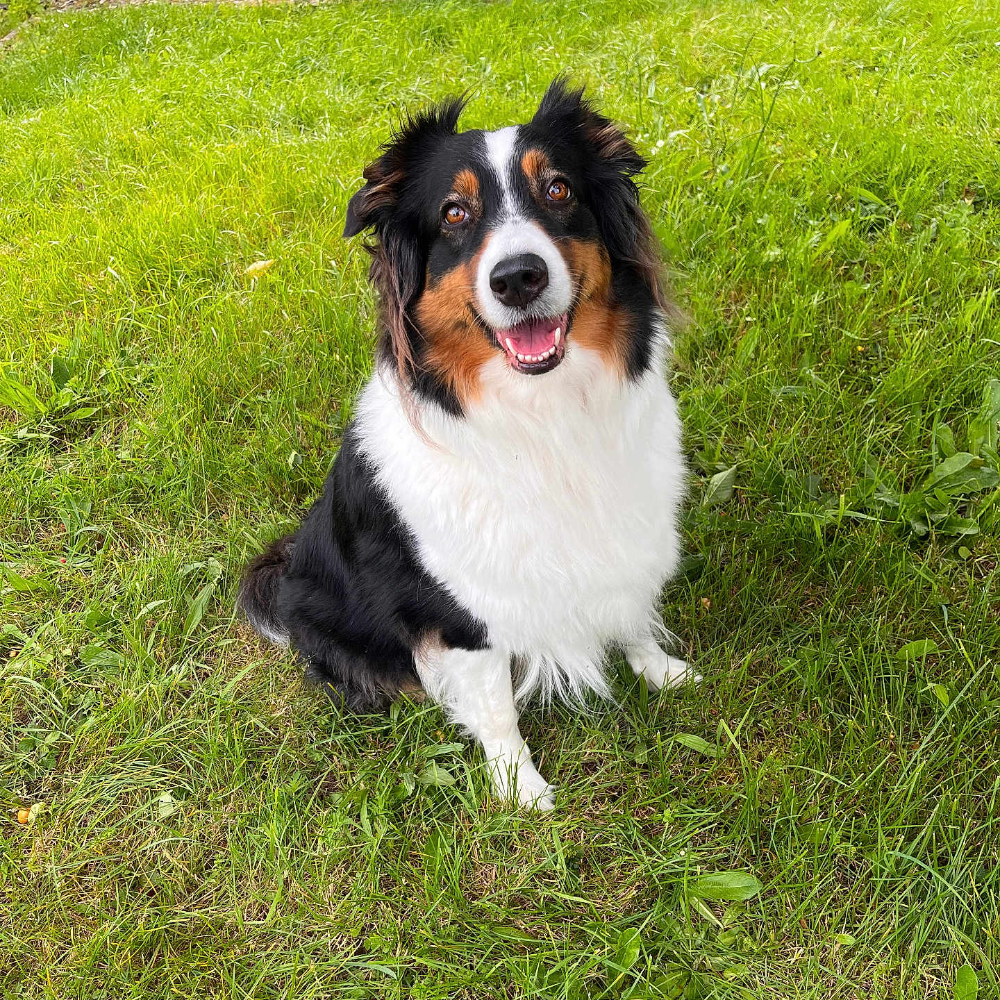 Ruby