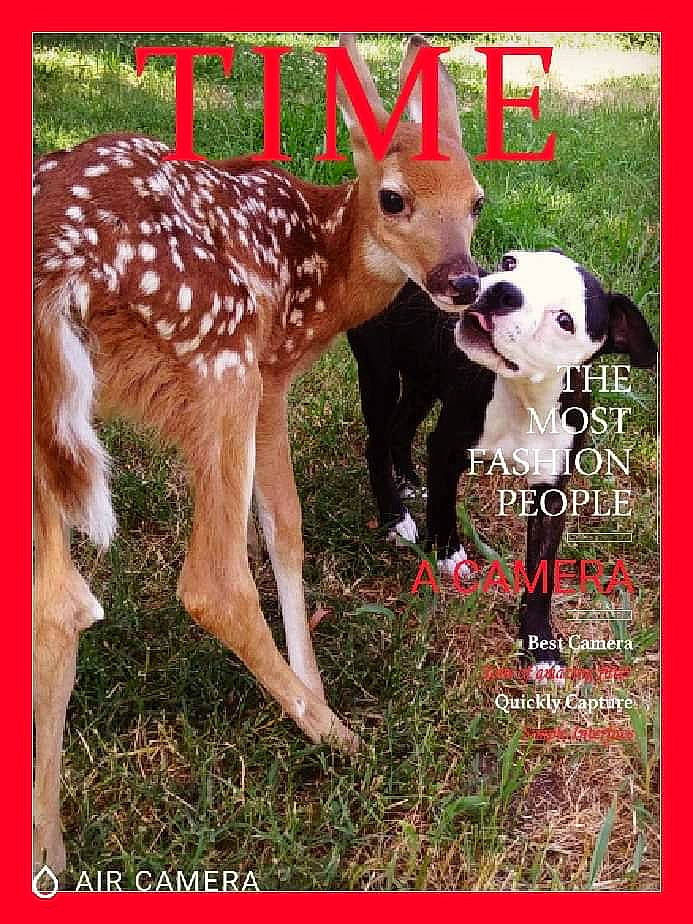 Constance joined the competition — help win amazing prizes! adaptation, deer, fawn, grass, grassland, happy, horn, landscape, natural_landscape, nature, organism, people_in_nature, photo_caption, plant, prairie, stock_photography, tail, terrestrial_animal, white_tailed_deer, wildlife