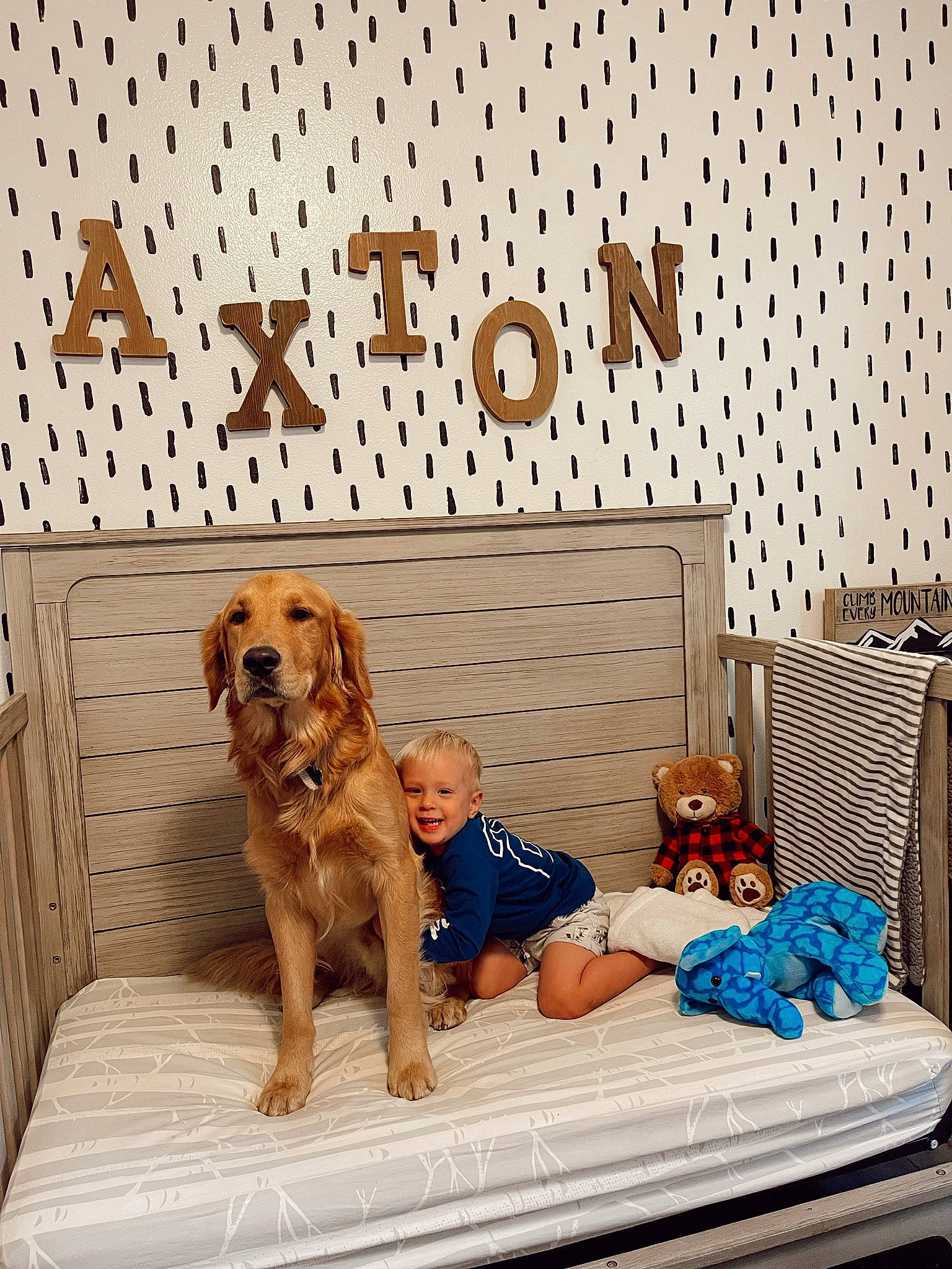 Axton is registered to the contest to win money with this photo: carnivore, chair, comfort, companion_dog, dog, dog_breed, fawn, floor, flooring, hardwood, home, house, joy, leisure, mammal, pattern, person, sitting, smile, sporting_group