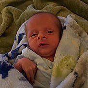 Cooper joined the competition — help win amazing prizes! newborn, baby, blanket, soft, wrapped, infant, face, expression, cozy, fabric, pattern, bed, sleepwear, cute, small, human, child, skin, portrait, resting