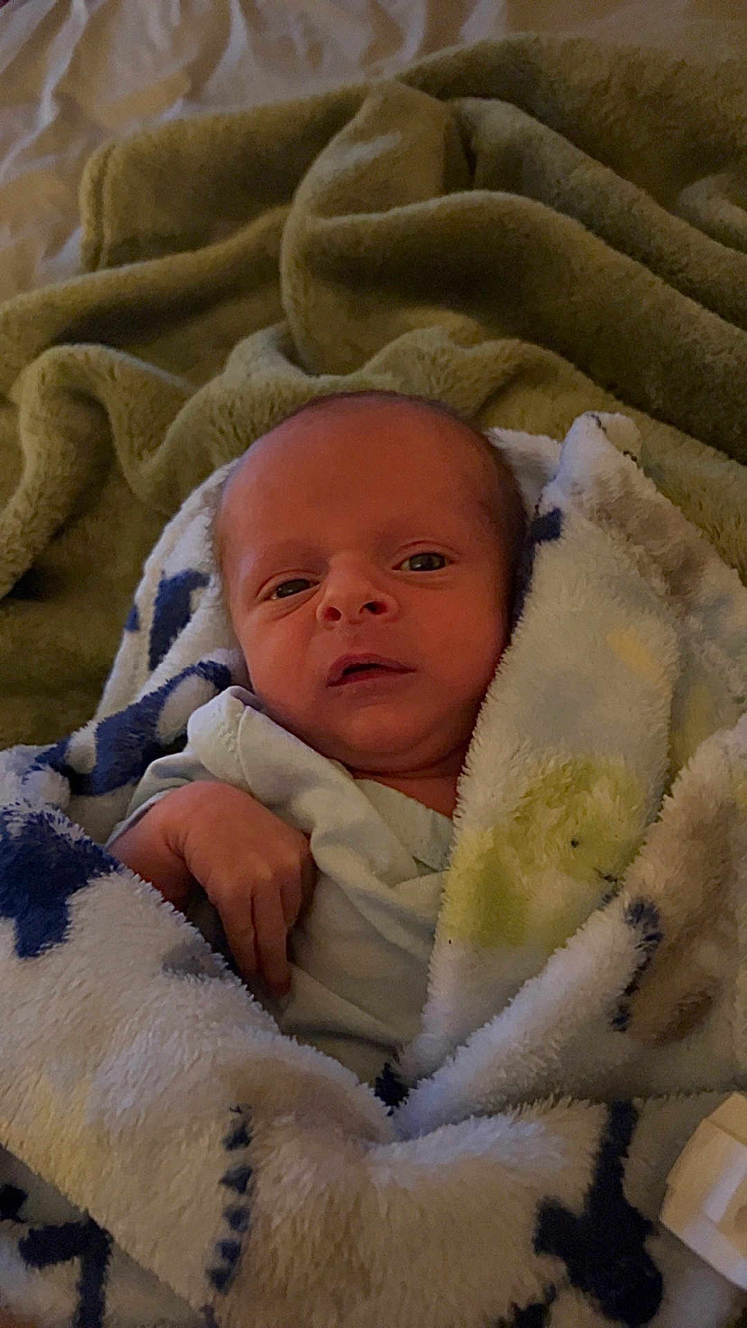 Cooper joined the competition — help win amazing prizes! newborn, baby, blanket, soft, wrapped, infant, face, expression, cozy, fabric, pattern, bed, sleepwear, cute, small, human, child, skin, portrait, resting