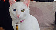 Neige participe au concours pour gagner de l'argent avec cette photo :