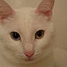 Neige participe au concours pour gagner de l'argent avec cette photo :