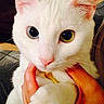 Neige participe au concours pour gagner de l'argent avec cette photo :