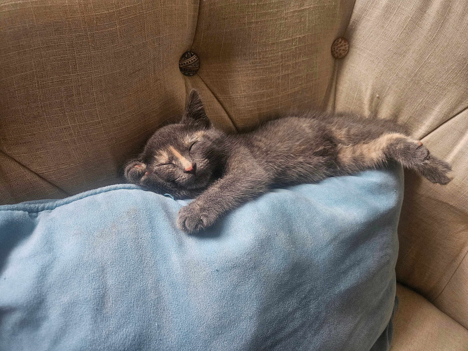 Luna