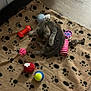 kitten, cat, sleeping, blanket, paw_prints, toys, ball, mouse_toy, pink, red, blue, yellow, gray, floor, wooden_floor, cozy, cute, pet, indoor, resting