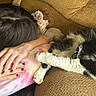 Daisy is registered to the contest to win money with this photo: cat, person, sleeping, cuddling, couch, indoor, pet, black_and_white, fluffy, relaxed, cozy, portrait, hands, hair, pink_shirt, furniture, domestic_animal, resting, companionship, nap