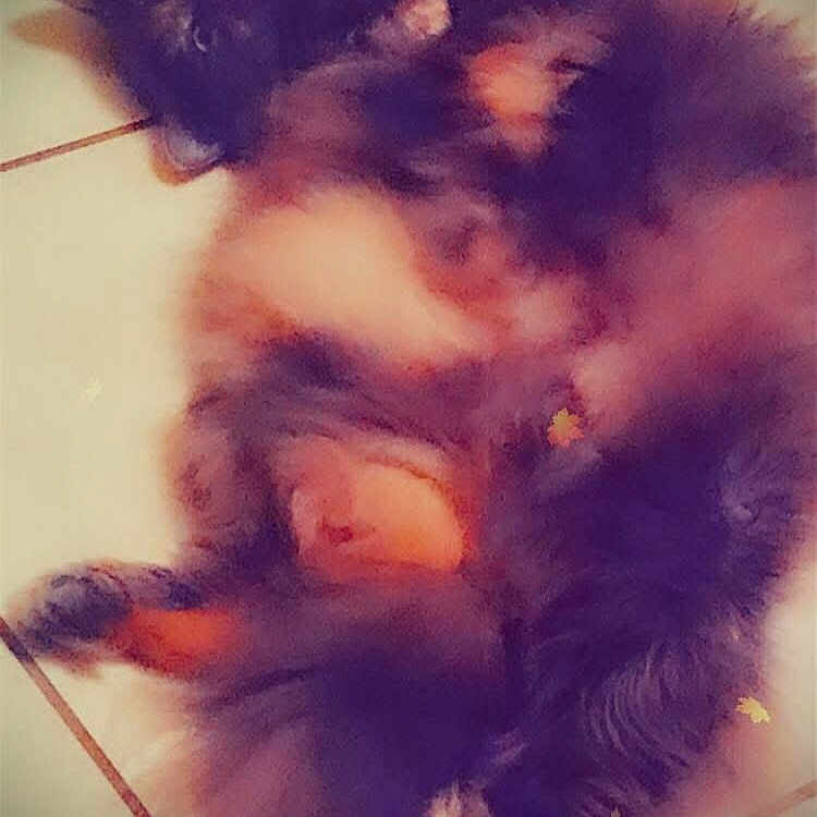 Tini