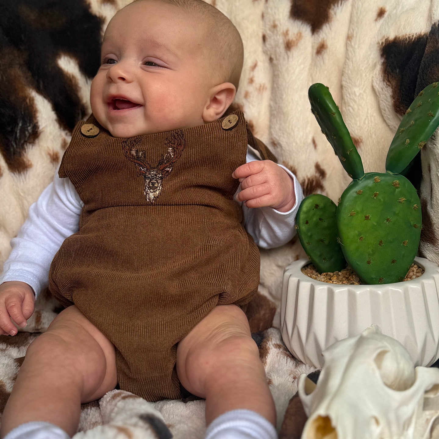 Bowen joined the competition — help win amazing prizes! baby, bodypart, cactus, clothing, couch, face, finger, food, furniture, hand, head, hosiery, leaf, newborn, person, photography, plant, portrait, pottedplant, sock