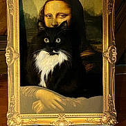 Carmine joined the competition — help win amazing prizes! animal, art, background, black_and_white_cat, cat, classic, expression, eyes, feline, frame, fur, golden_frame, hands, indoor, mona_lisa, painting, pet, portrait, whiskers, wood