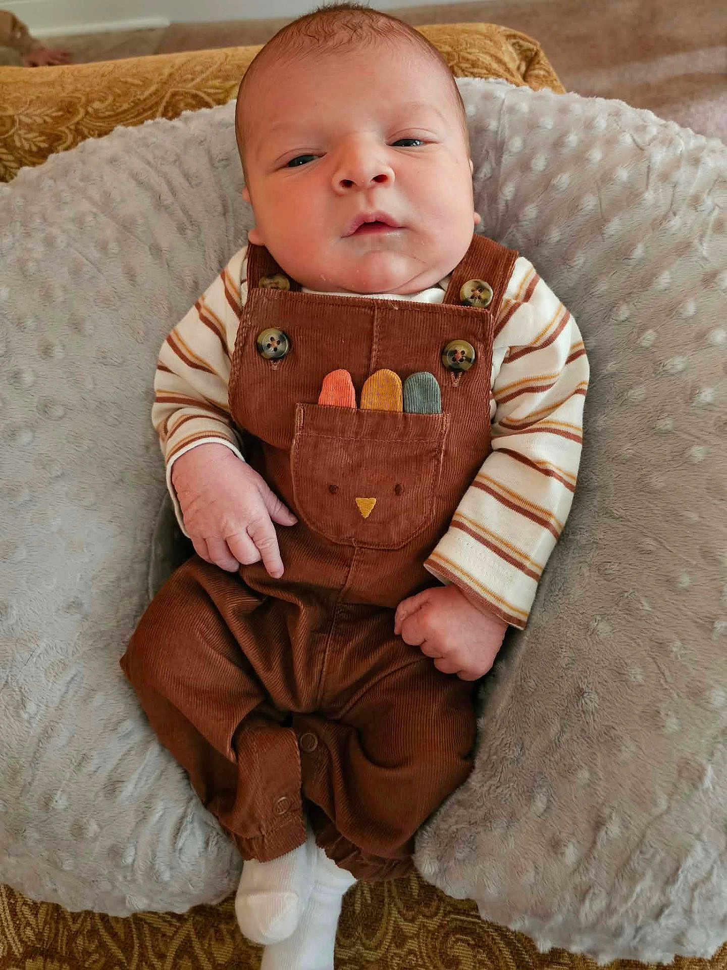 Nico joined the competition — help win amazing prizes! baby, infant, overalls, brown_clothing, striped_shirt, cushion, soft_texture, indoor, portrait, child, cute, hands, feet, white_socks, cozy, relaxed, looking_at_camera, fabric, comfort, home