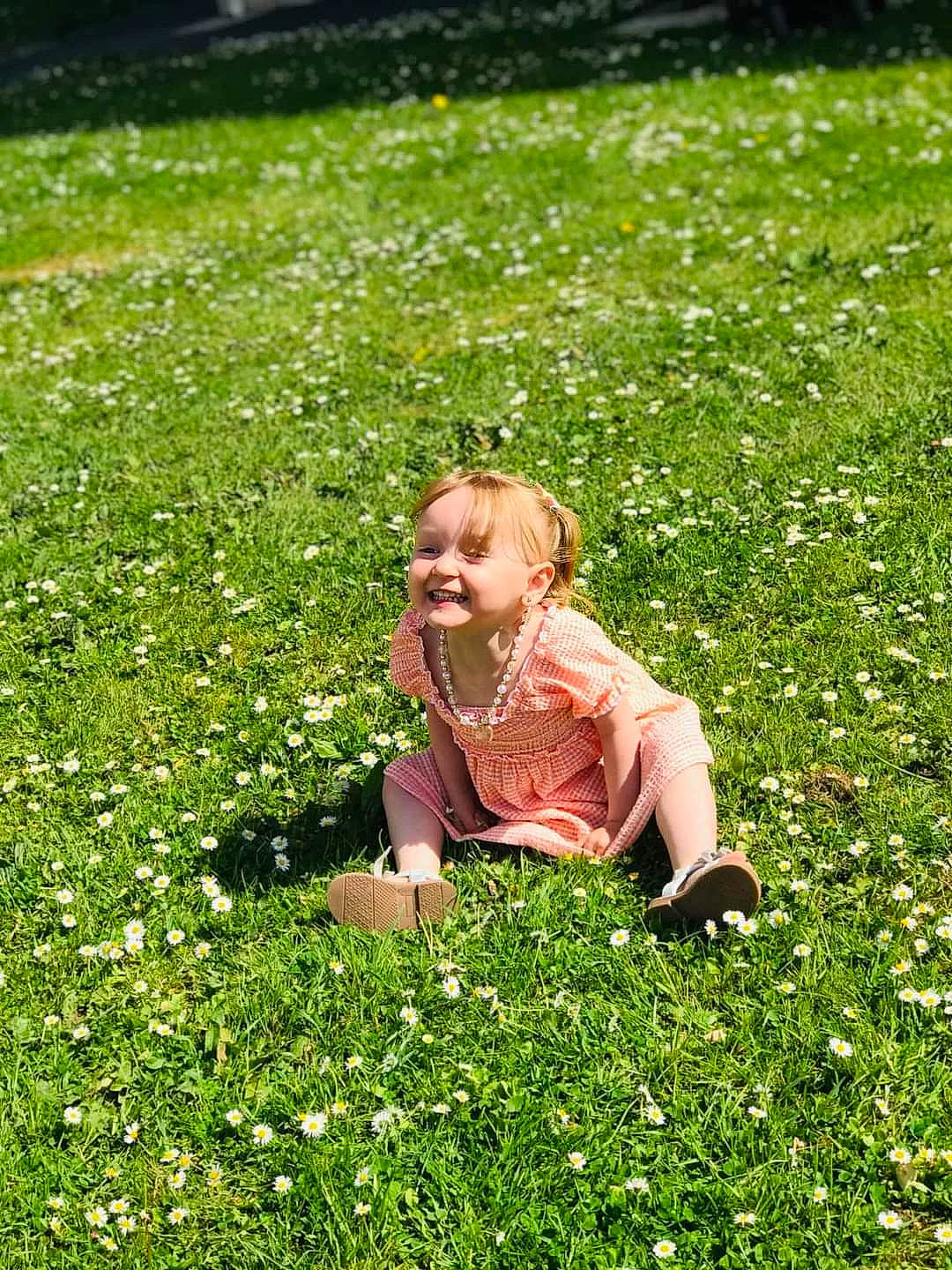 Faustine participe au concours pour gagner de l'argent avec cette photo : botany, ecoregion, flower, flowering_plant, grass, grass_family, grassland, green, groundcover, happy, joy, meadow, natural_environment, natural_landscape, people_in_nature, person, petal, plant, shrub, smile