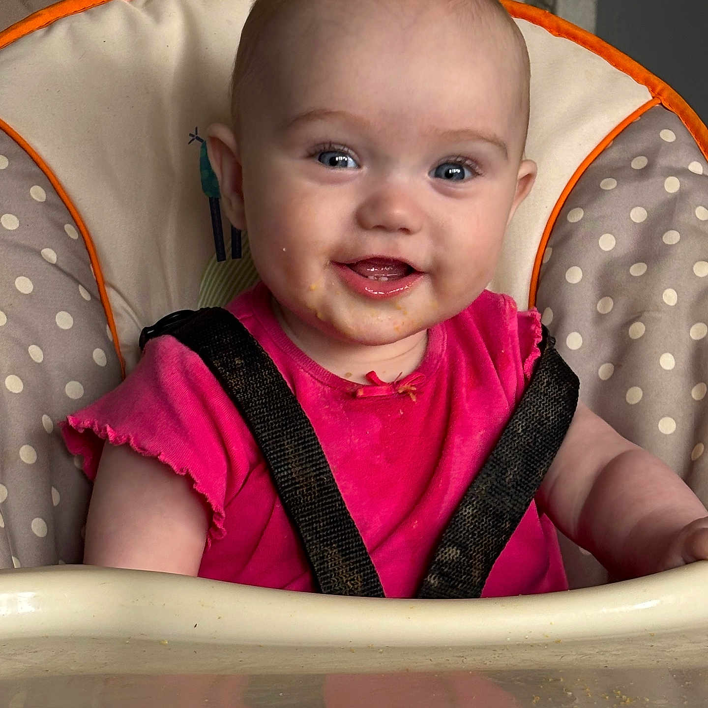 Isabella Witt joined the competition — help win amazing prizes! baby, child, cushion, cute, eyes, face, food, happy, high_chair, indoor, infant, messy, mouth, person, pink_shirt, polka_dot, portrait, seatbelt, skin, smiling