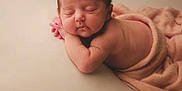 Rose participe au concours pour gagner de l'argent avec cette photo : baby, newborn, sleeping, blanket, soft, peaceful, infant, face, skin, rest, cute, child, portrait, lying_down, pink, young, calm, napping, toddler, indoors