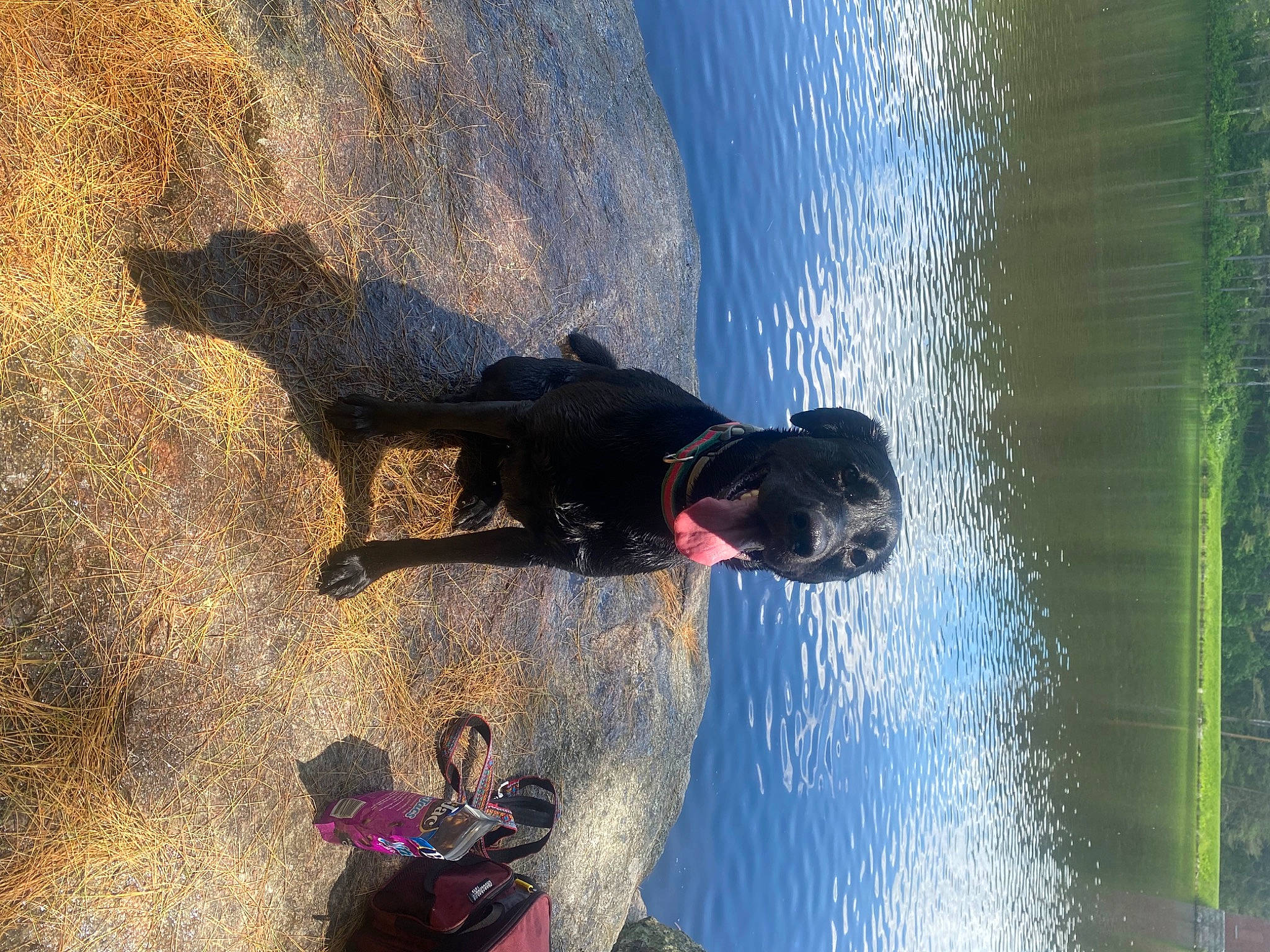 Tinkerbell is registered to the contest to win money with this photo: adventure, boats_and_boating_equipment_and_supplies, extreme_sport, fun, lake, landscape, leisure, people_in_nature, personal_protective_equipment, recreation, reflection, rock, shadow, soil, sport_climbing, sunglasses, sunlight, tree, vacation, water