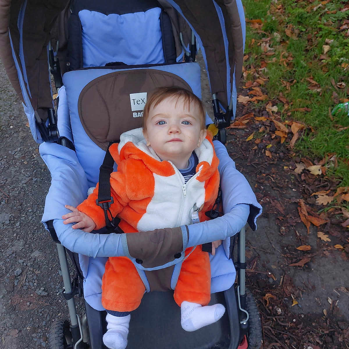 Ellias a rejoint le concours — aidez-le/la à gagner de superbes lots ! autumn_leaves, baby, baby_clothing, child, cute, daylight, expression, grass, nature, orange_outfit, outdoor, park, path, person, portrait, seated, socks, stroller, toddler, wheel