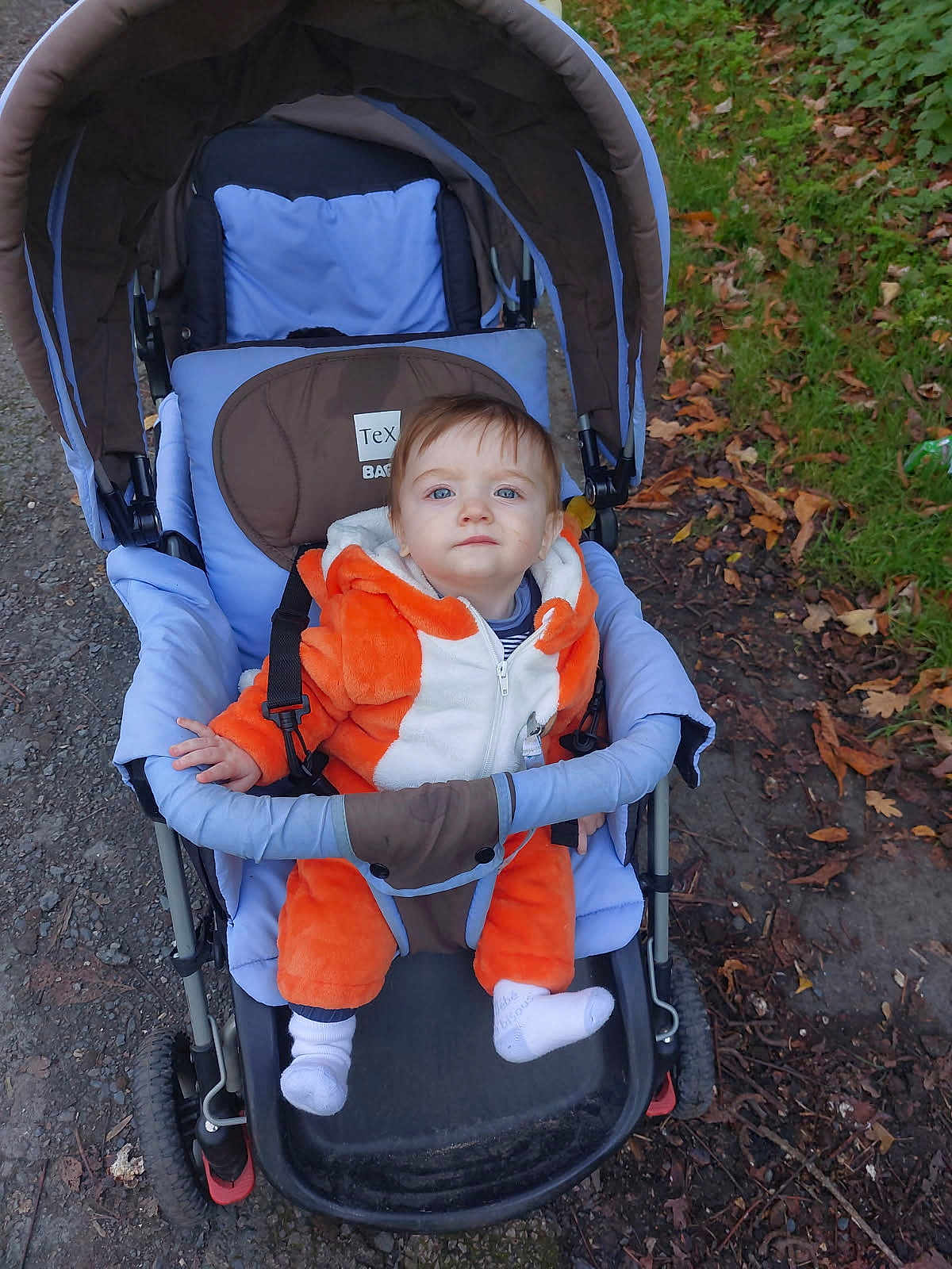 Ellias a rejoint le concours — aidez-le/la à gagner de superbes lots ! toddler, child, stroller, orange_outfit, outdoor, autumn_leaves, path, grass, baby_clothing, socks, person, cute, portrait, seated, baby, wheel, nature, daylight, expression, park