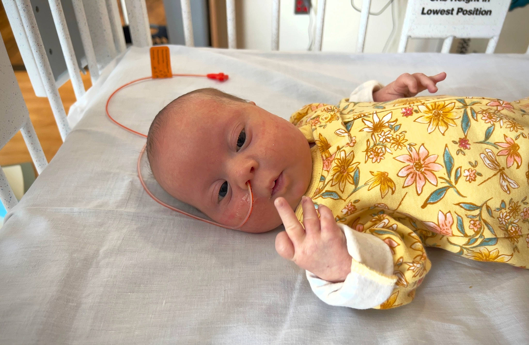 Adeline is registered to the contest to win money with this photo: baby, baby_products, baby_safety, baby_toddler_clothing, bedding, bedtime, child, comfort, flooring, hat, linens, mammal, person, room, skin, sleep, sleeve, toddler, wood