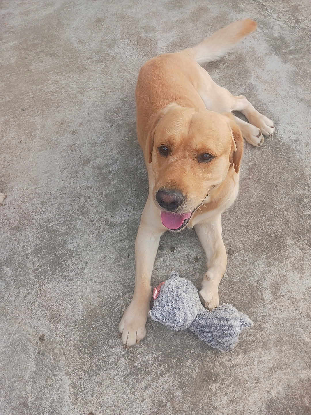 Olaf