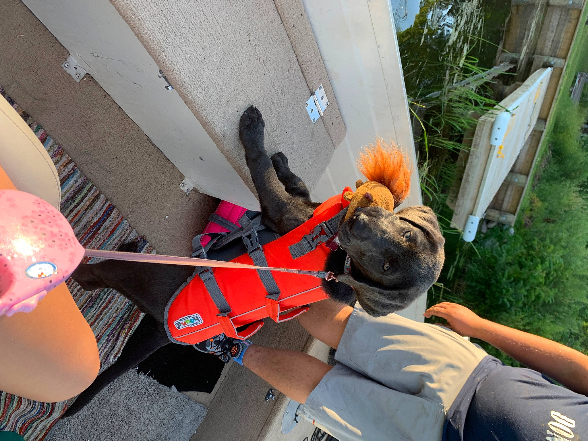 Harley joined the competition — help win amazing prizes! fawn