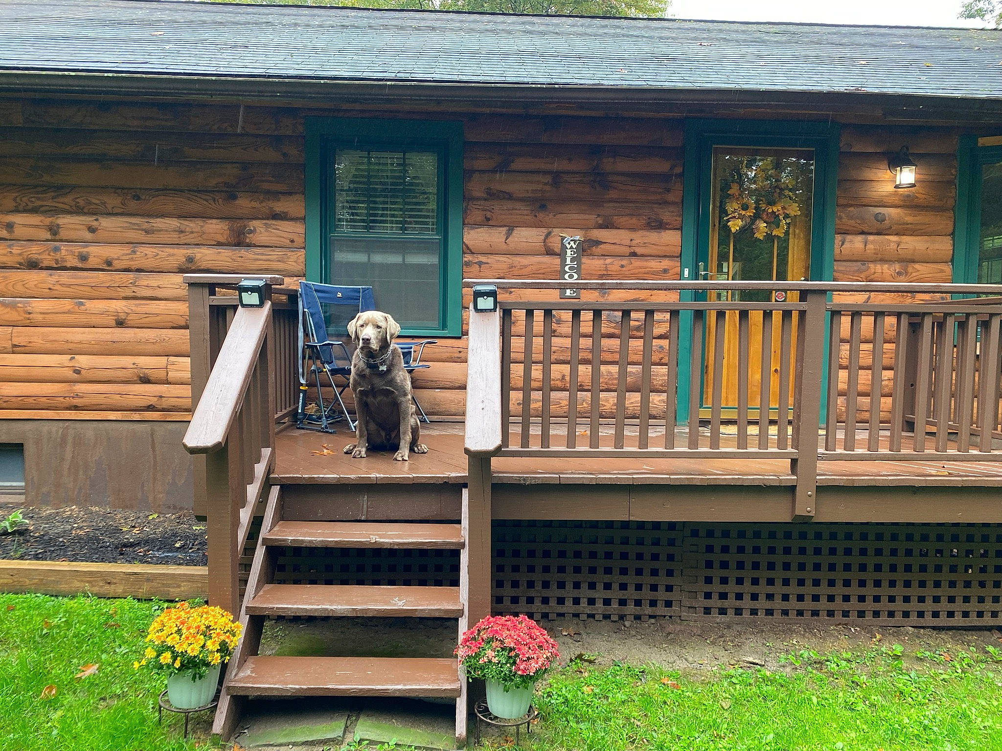 Riggs is registered to the contest to win money with this photo: building, cottage, door, facade, flower, flowerpot, grass, house, landscape, leisure, outdoor_structure, plant, porch, real_estate, roof, siding, stairs, tree, window, wood