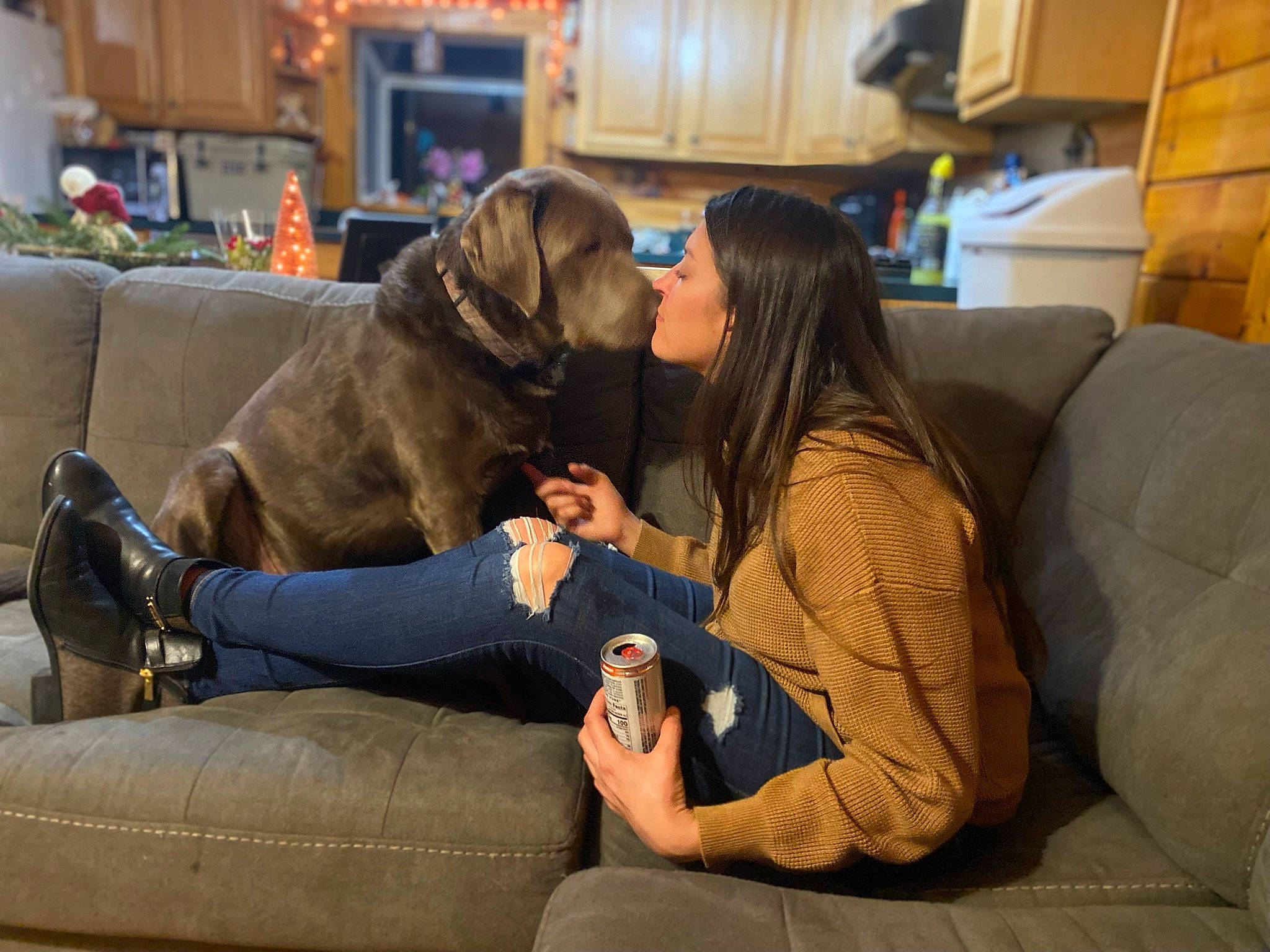 Riggs joined the competition — help win amazing prizes! bookcase, carnivore, comfort, companion_dog, couch, dog, dog_breed, event, fawn, flooring, fun, fur, furniture, lap, leisure, shelf, sitting, sporting_group, television, working_animal