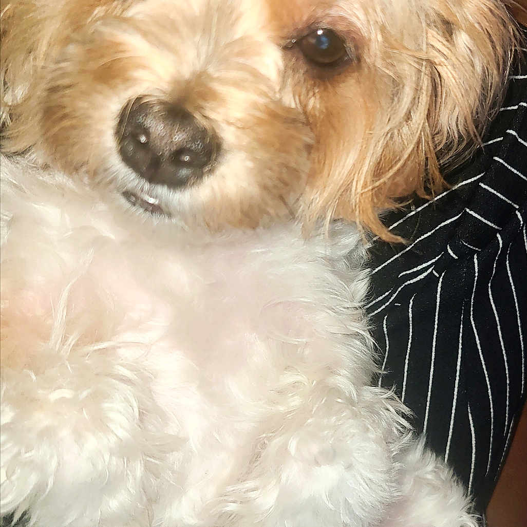 Mika