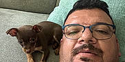 Rex joined the competition — help win amazing prizes! man, puppy, dog, glasses, couch, pillow, indoors, relaxing, casual, beard, closeup, brown_dog, pet, companion, resting, comfort, portrait, home, seated, furniture